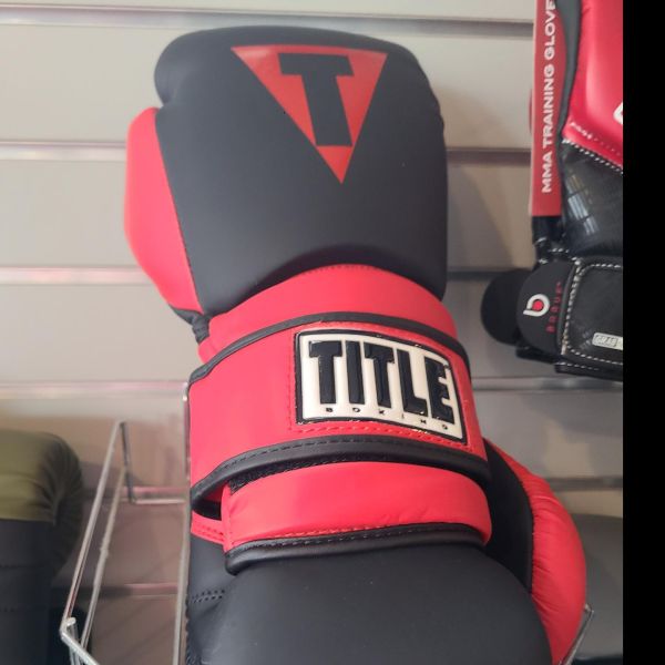 TITLE Boxing Guts and Glory Bag Gloves